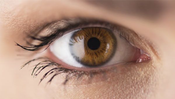 OFTALMOLOGÍA TUXPAN - Desprendimiento de retina