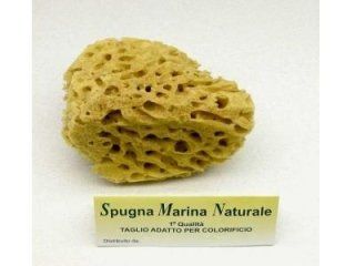 Spugna di mare naturale per decori
