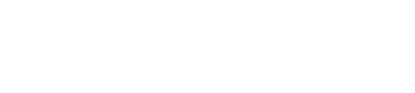 Chimney Specialist of Texas
