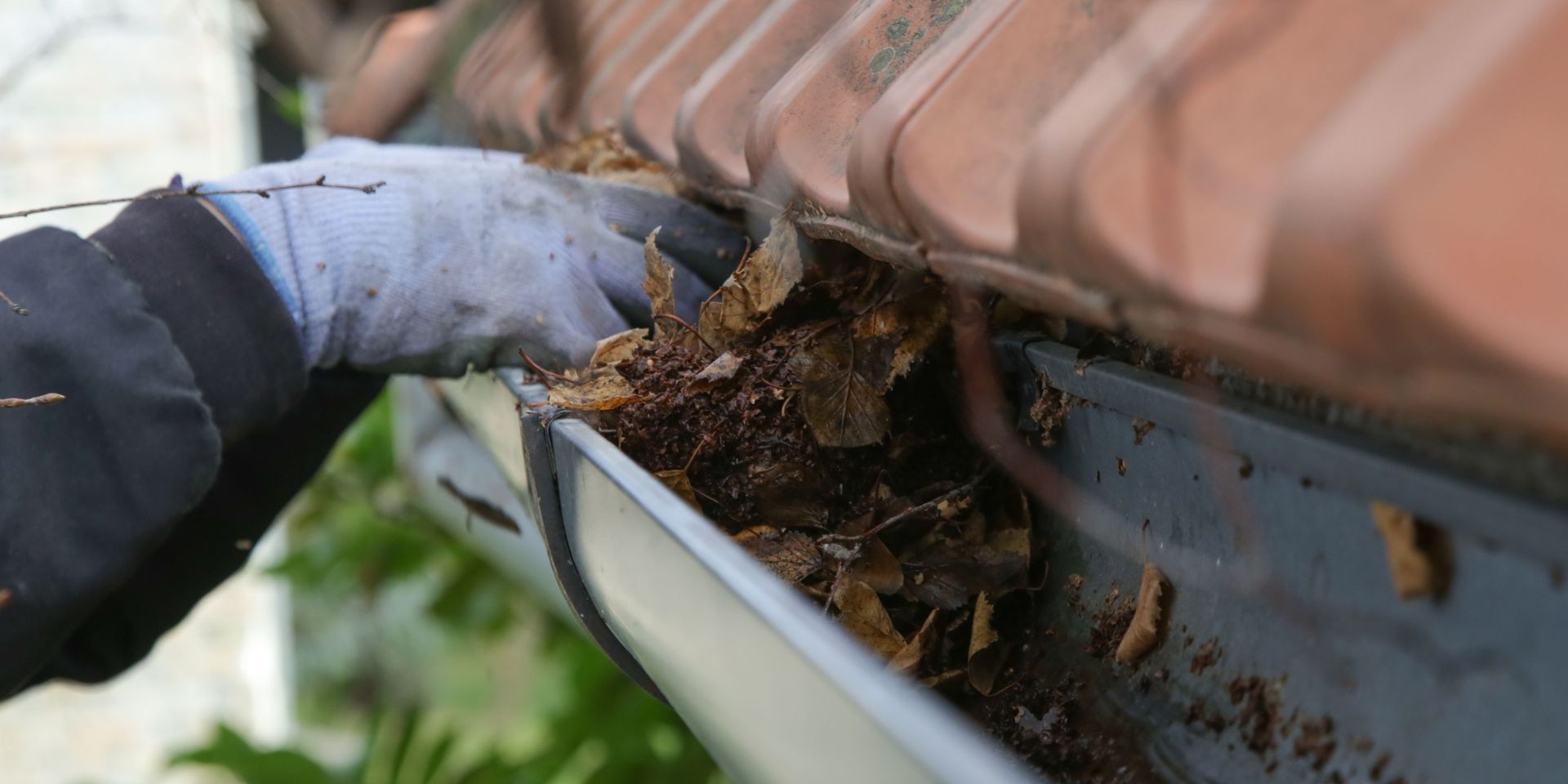 A person is cleaning a gutter from leaves on a roof.