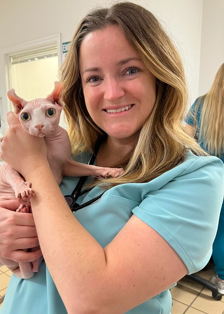 Dr. Freeman in teal scrubs holding a hairless cat; smiling indoors.