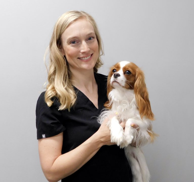 Dr. Roth in black scrubs holds a Cavalier King Charles Spaniel dog against a plain gray background.