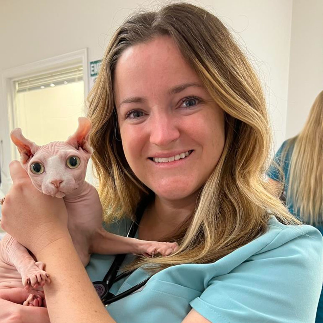 Dr. Freeman in scrubs holding a Sphynx cat in a veterinary clinic, both smiling.