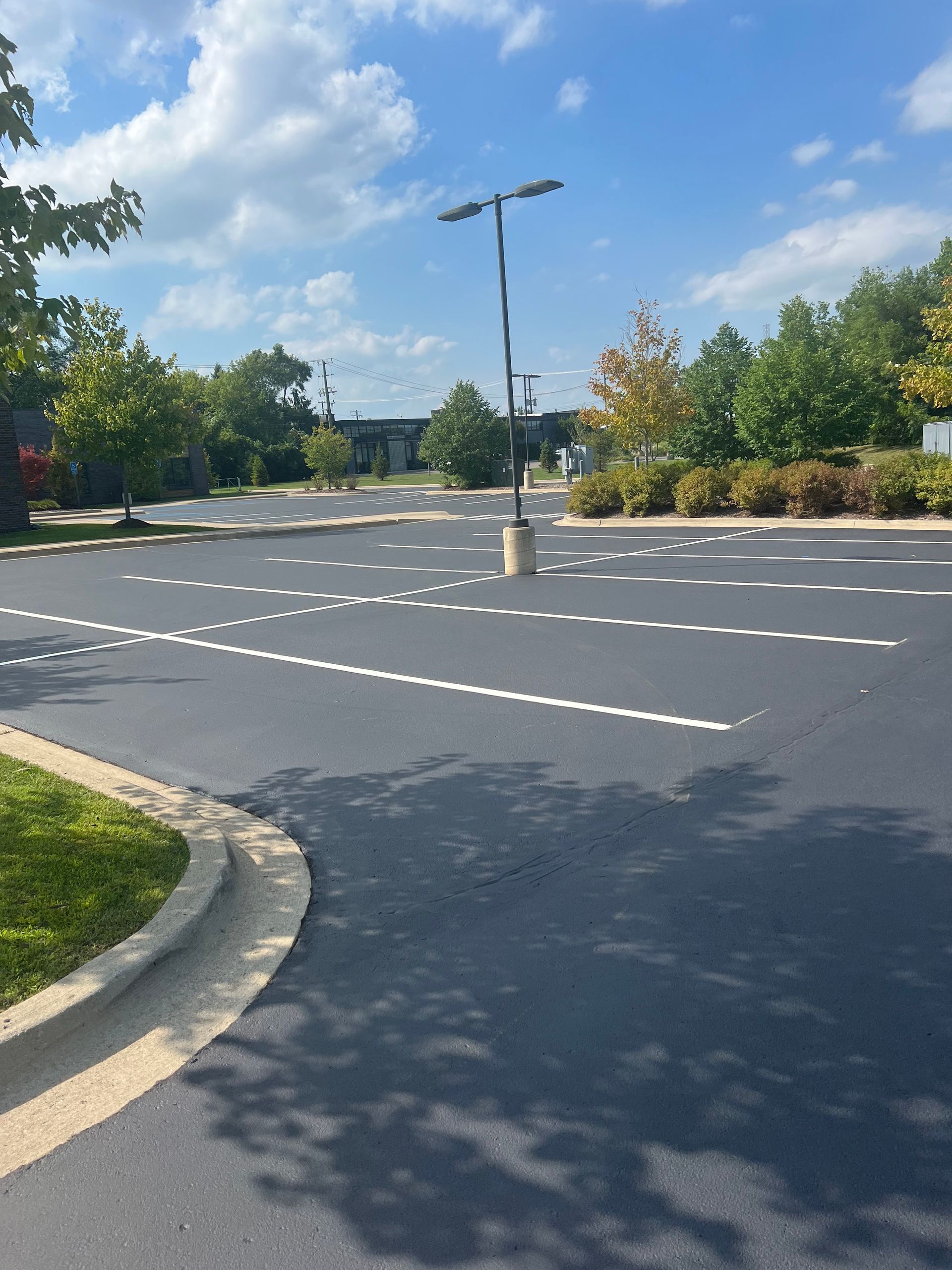 Empty parking lot with fresh asphalt and painted lines; sunny day with some trees.