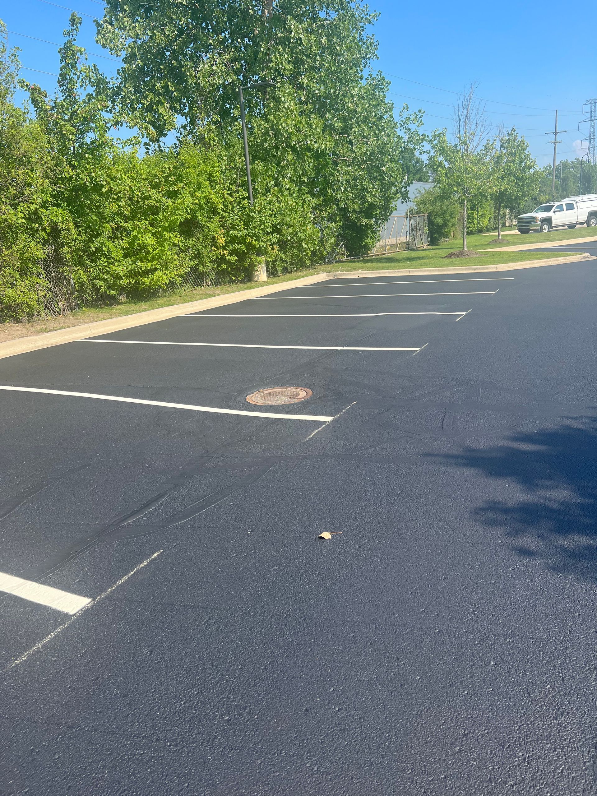 Newly paved parking lot with white painted parking space lines. Trees and blue sky in background.