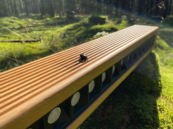 Hölzerner Audiolautsprecher in einem Wald, mit einem Käfer oben drauf, umgeben von grünem Laub und Sonnenlicht.