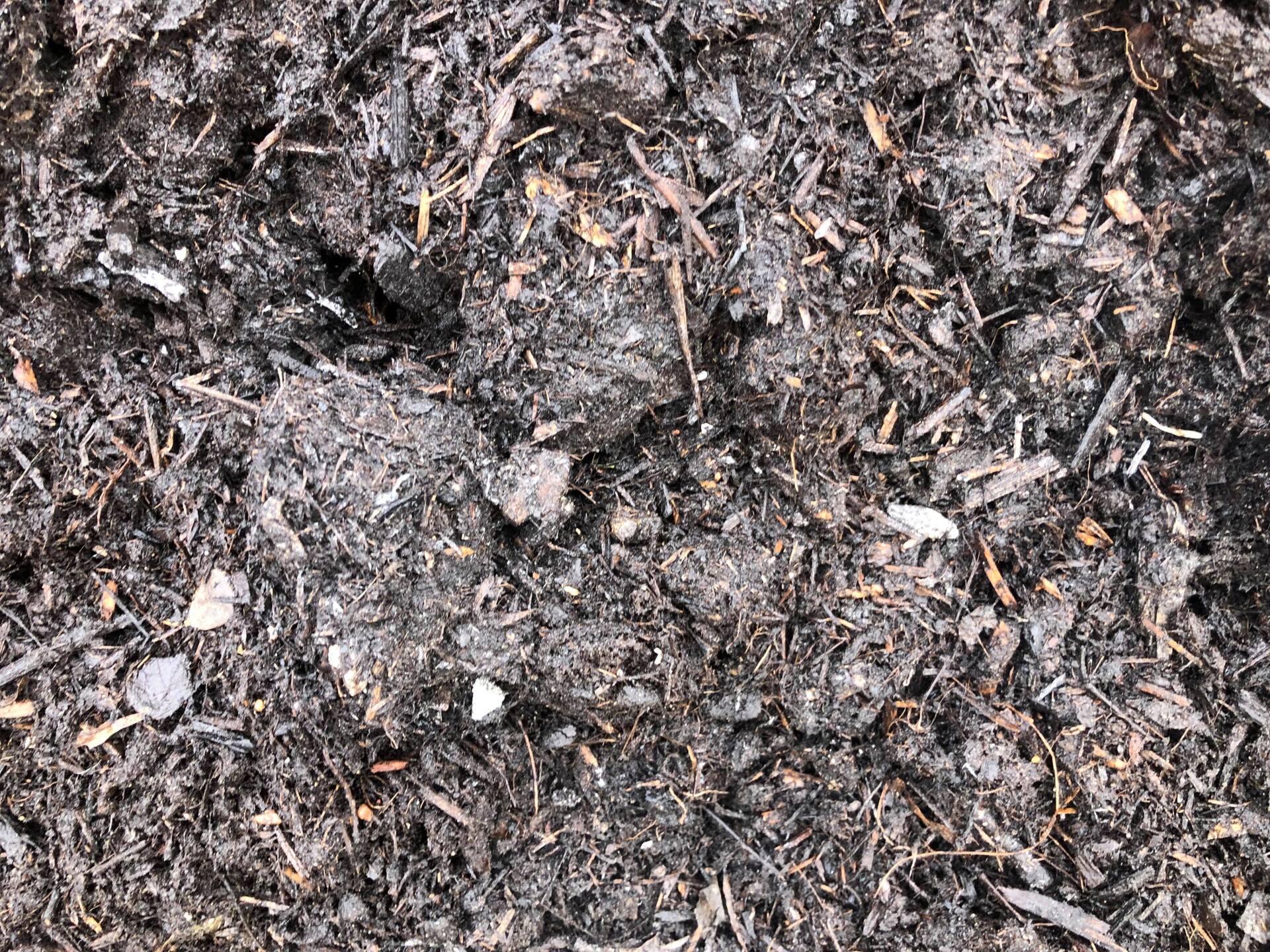 Compost and Soils