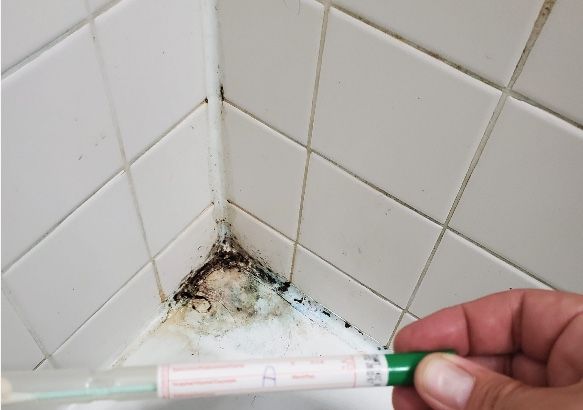 mold in bathroom shower