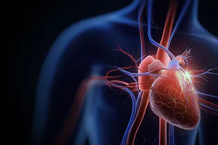 A glowing, 3D anatomical model of a human heart positioned within a shadowy torso, highlighting cardiac blood vessels.