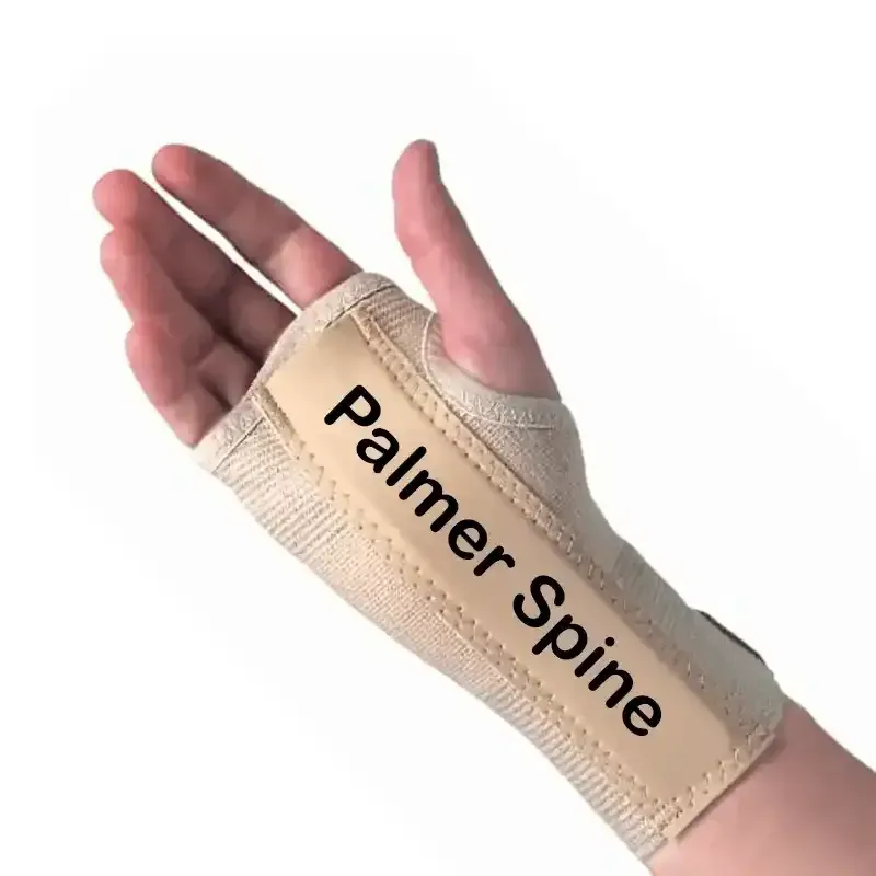 Image of a brace containing a palmar spine.