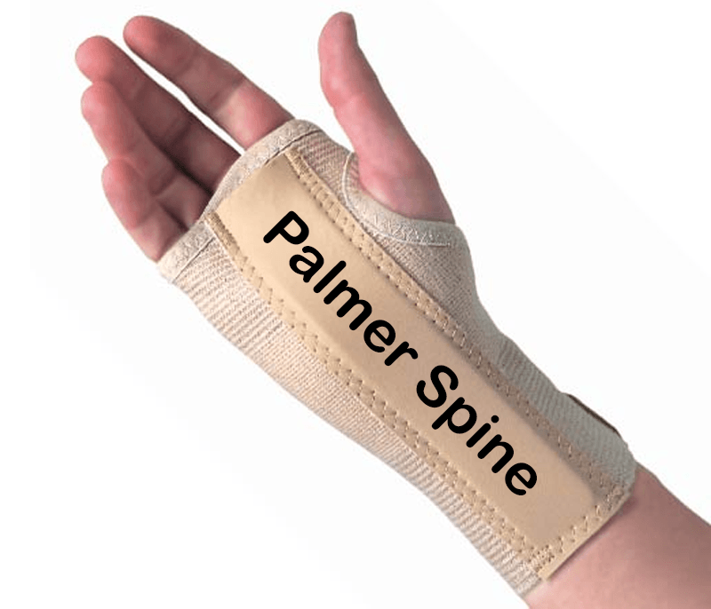 Image showing the palmar spine on a hand splint.