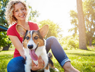 Vet Clinic In Cedar Rapids Marion Ia Animal Hospital