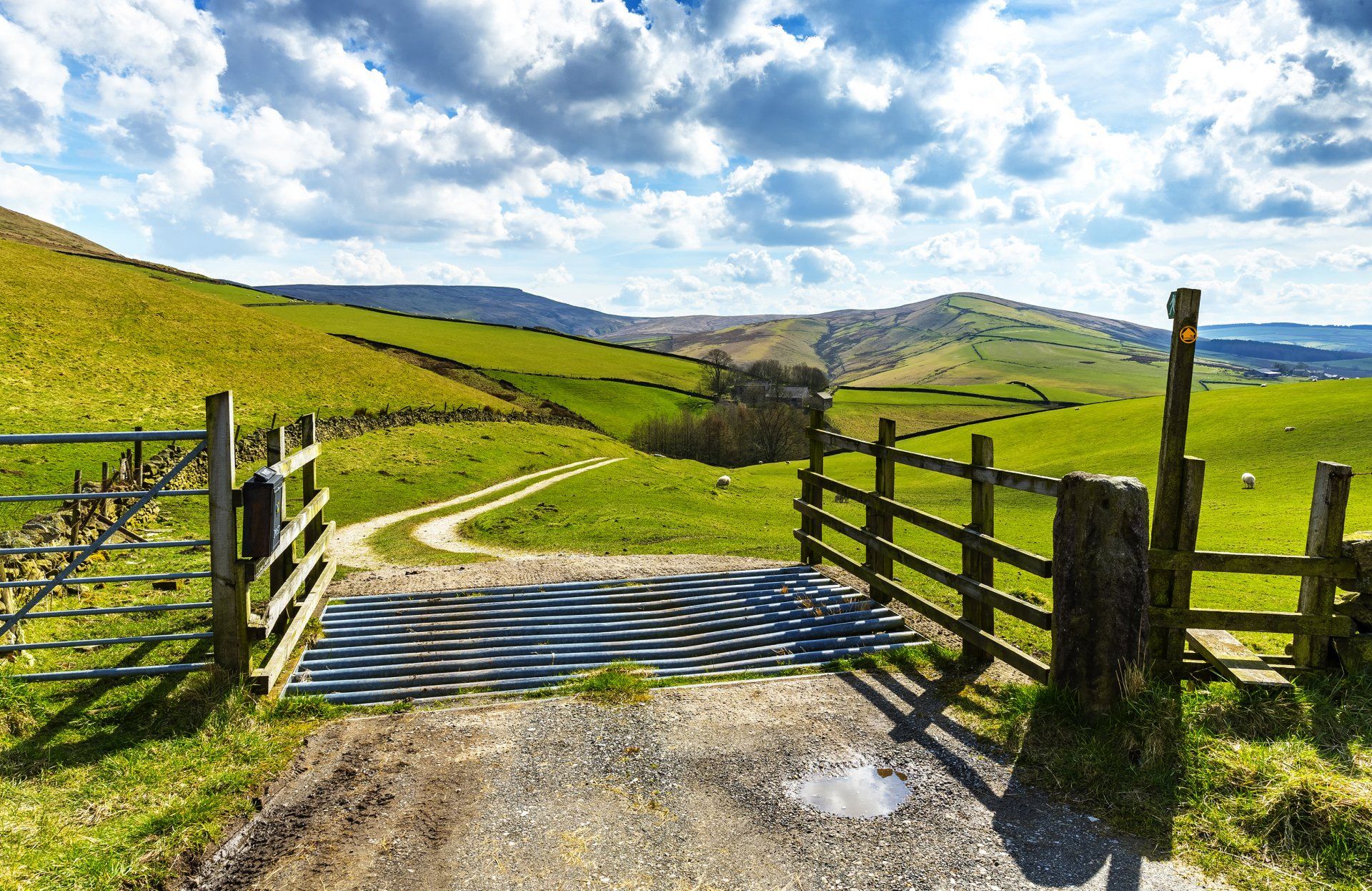 Image of a farm