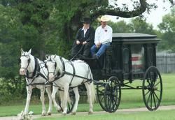 A horse-drawn hearse with two white horses, driven by two people in a grassy field.