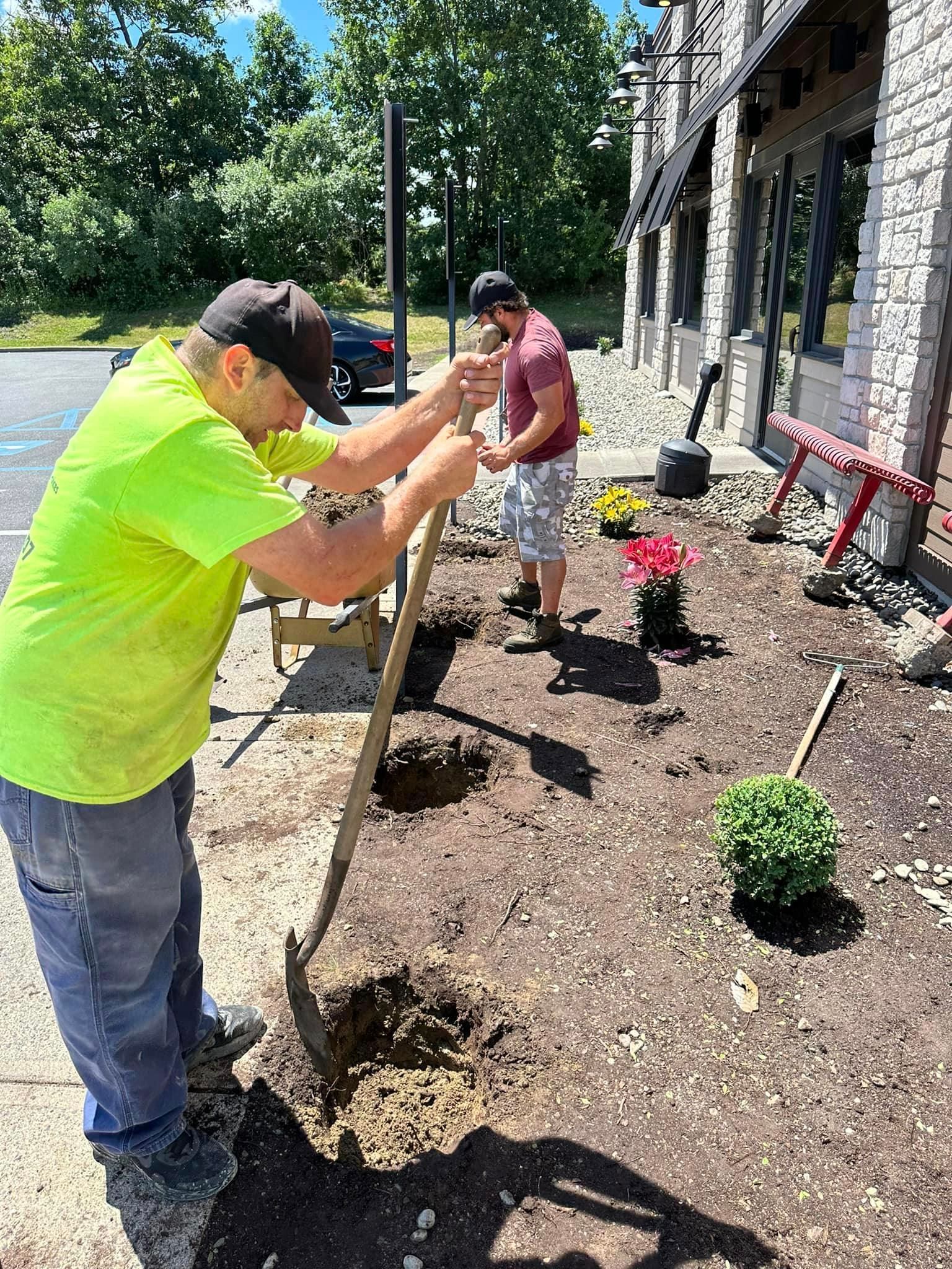 A man is doing landscaping and digging a hole in the ground with a shovel.
