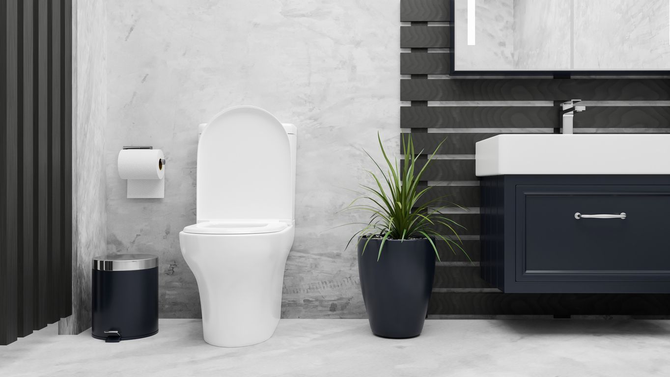 Modern bathroom with a white toilet, black trash bin, plant, and dark vanity sink.