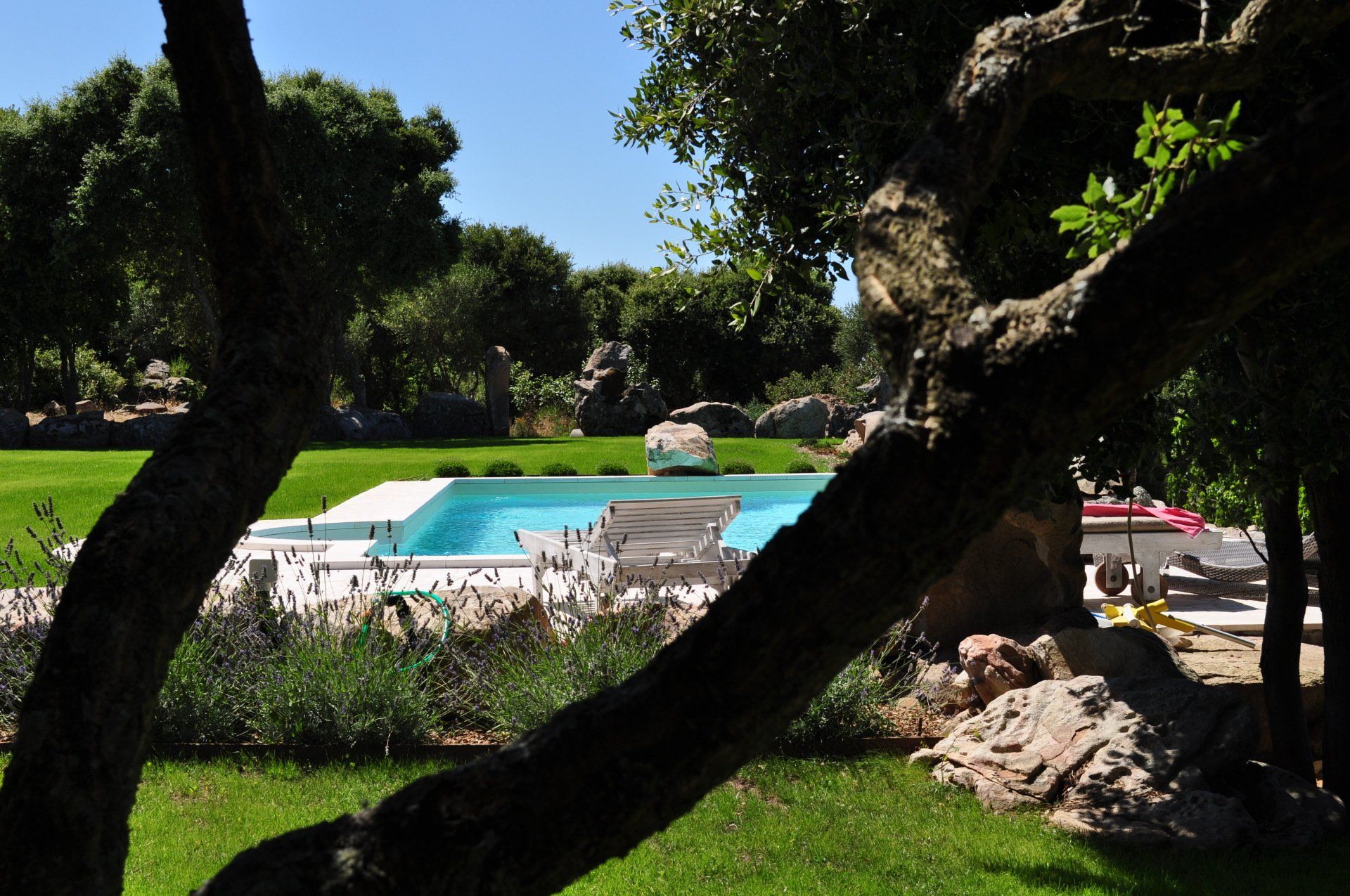 Studio Tecnico Demuro piscina verde