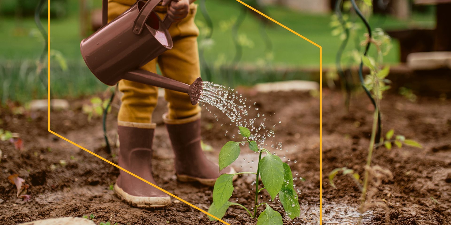 A Importância Da Educação Ambiental Para As Crianças