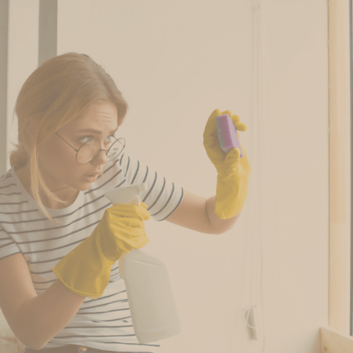 lady cleaning