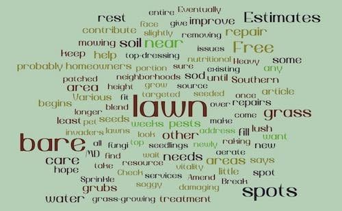 words about lawn and grass