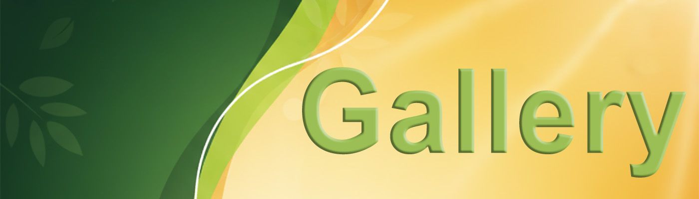 Green and yellow 
