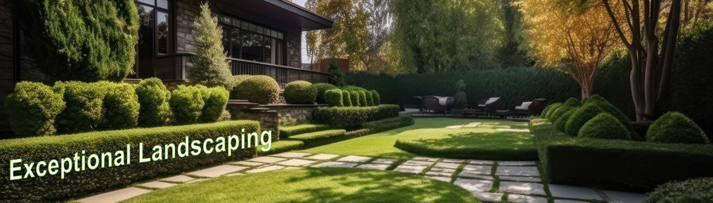 exceptional landscaping service