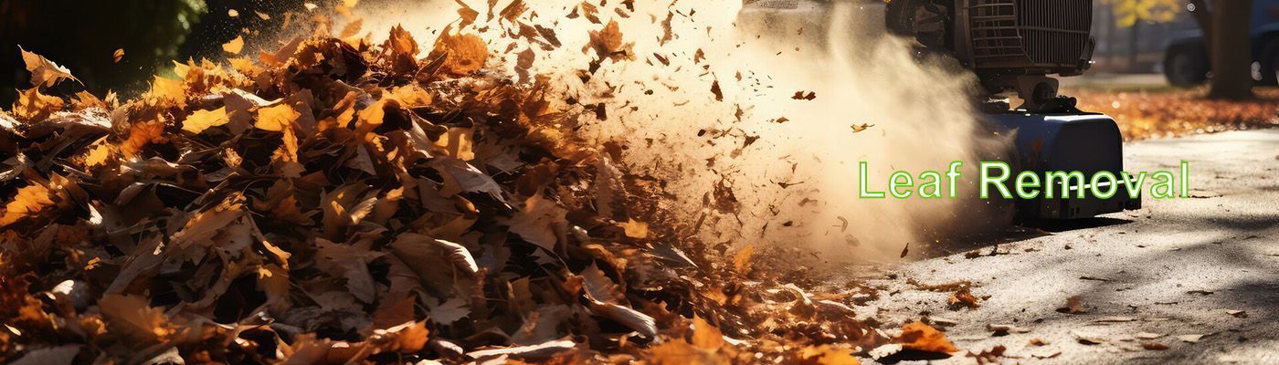 Leaf removal