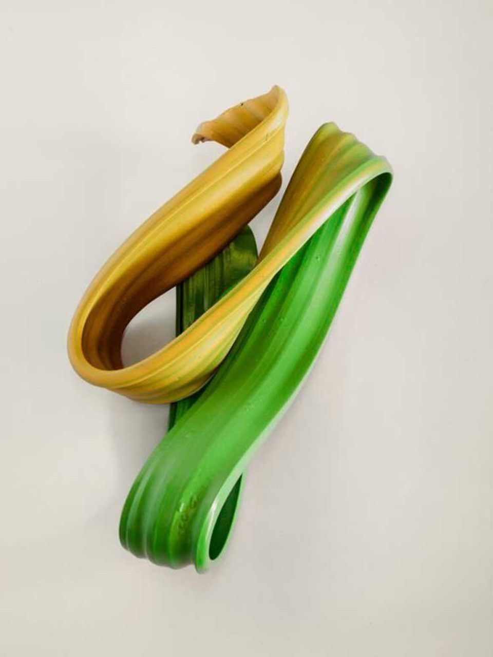 cinghia di una tapparella