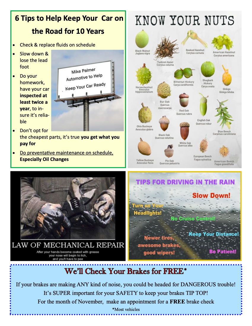 November 2025 Newsletter | Mike Palmer Automotive