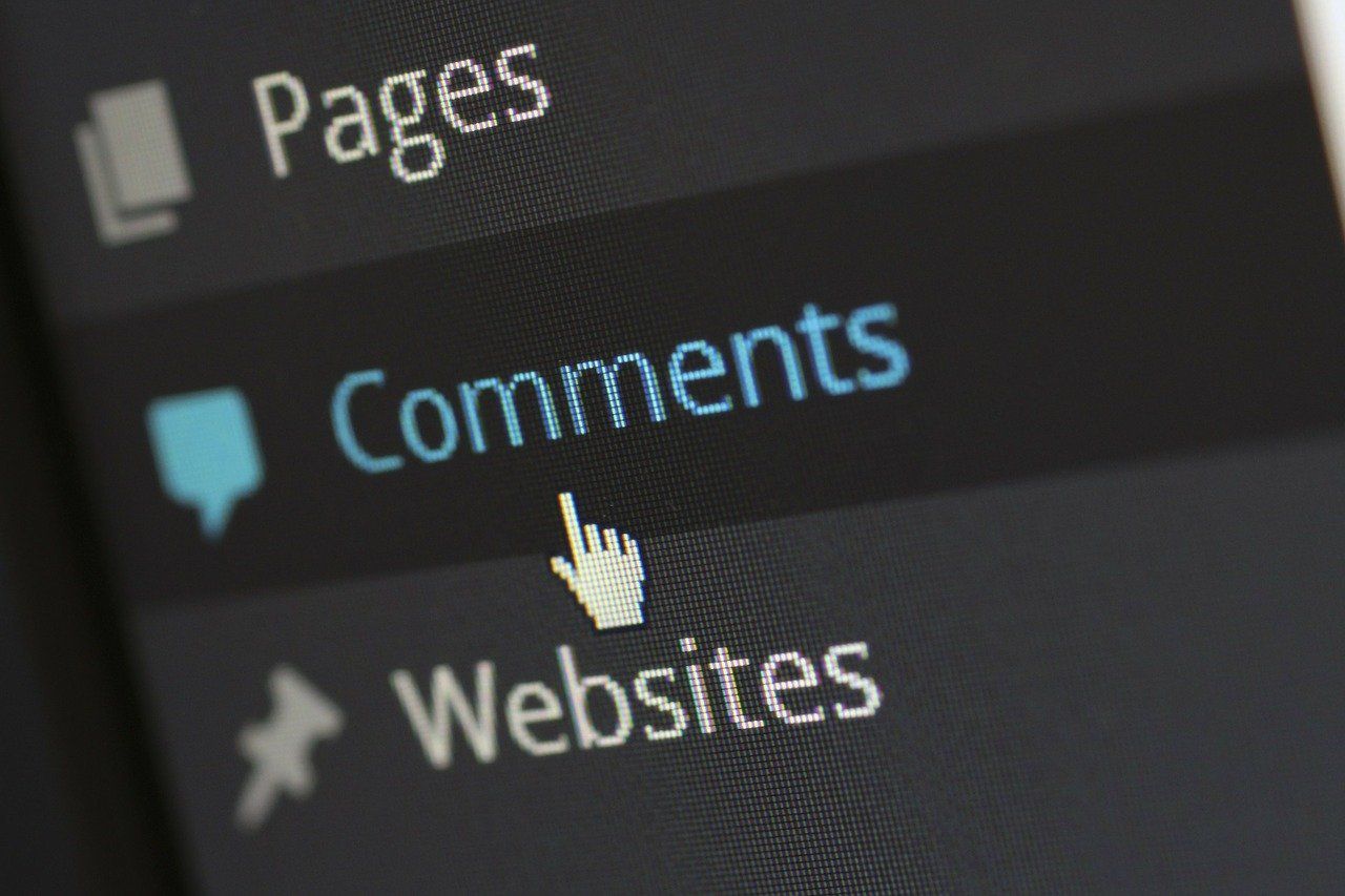 Sidebar menu with Pages, Comments highlighted in blue, and Websites beneath a cursor icon
