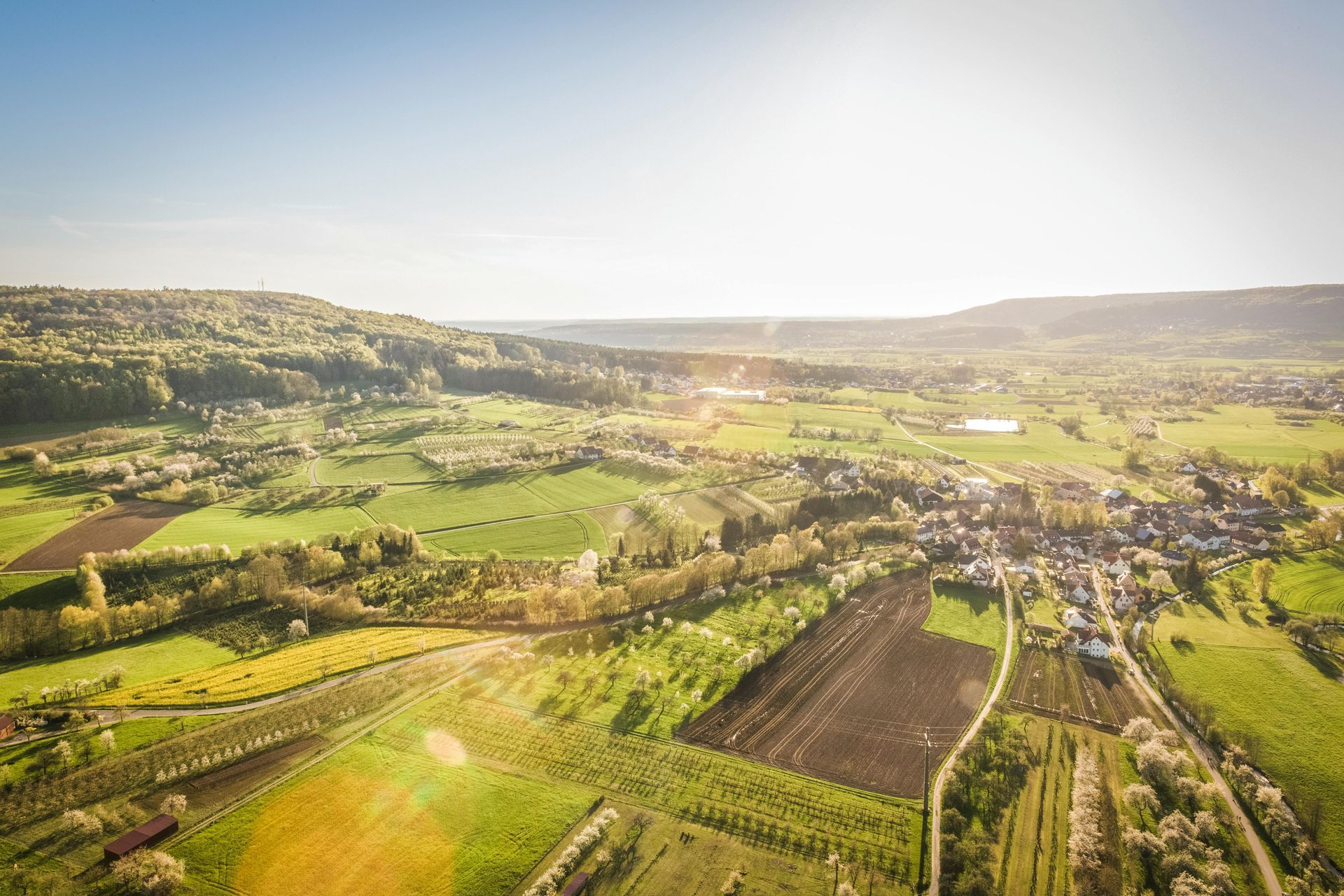 Overview of farmland