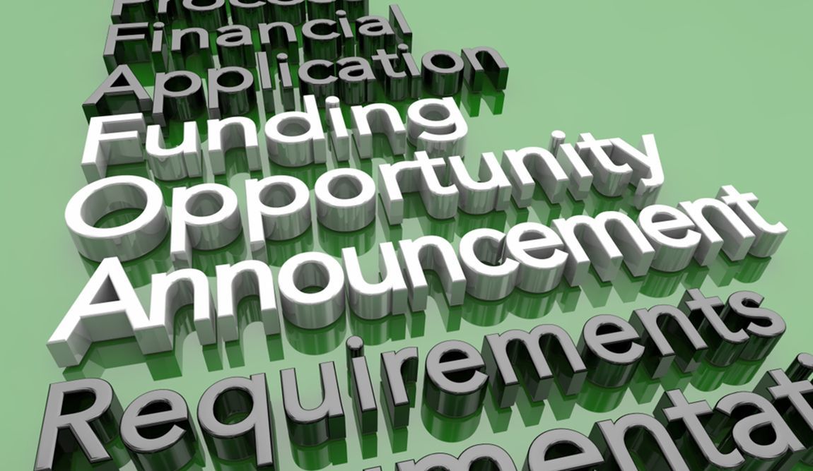 3D text reading “Funding Opportunity Announcement” with “Requirements” below on a green background