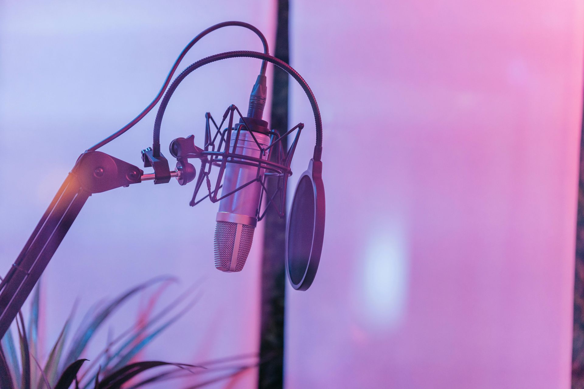 acoustic consultants and acoustic treatment