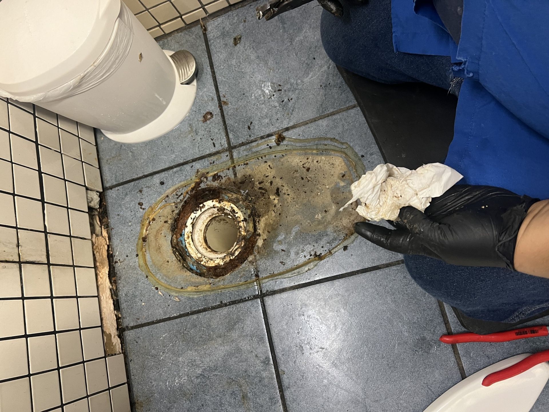 A person is cleaning a toilet in a bathroom.