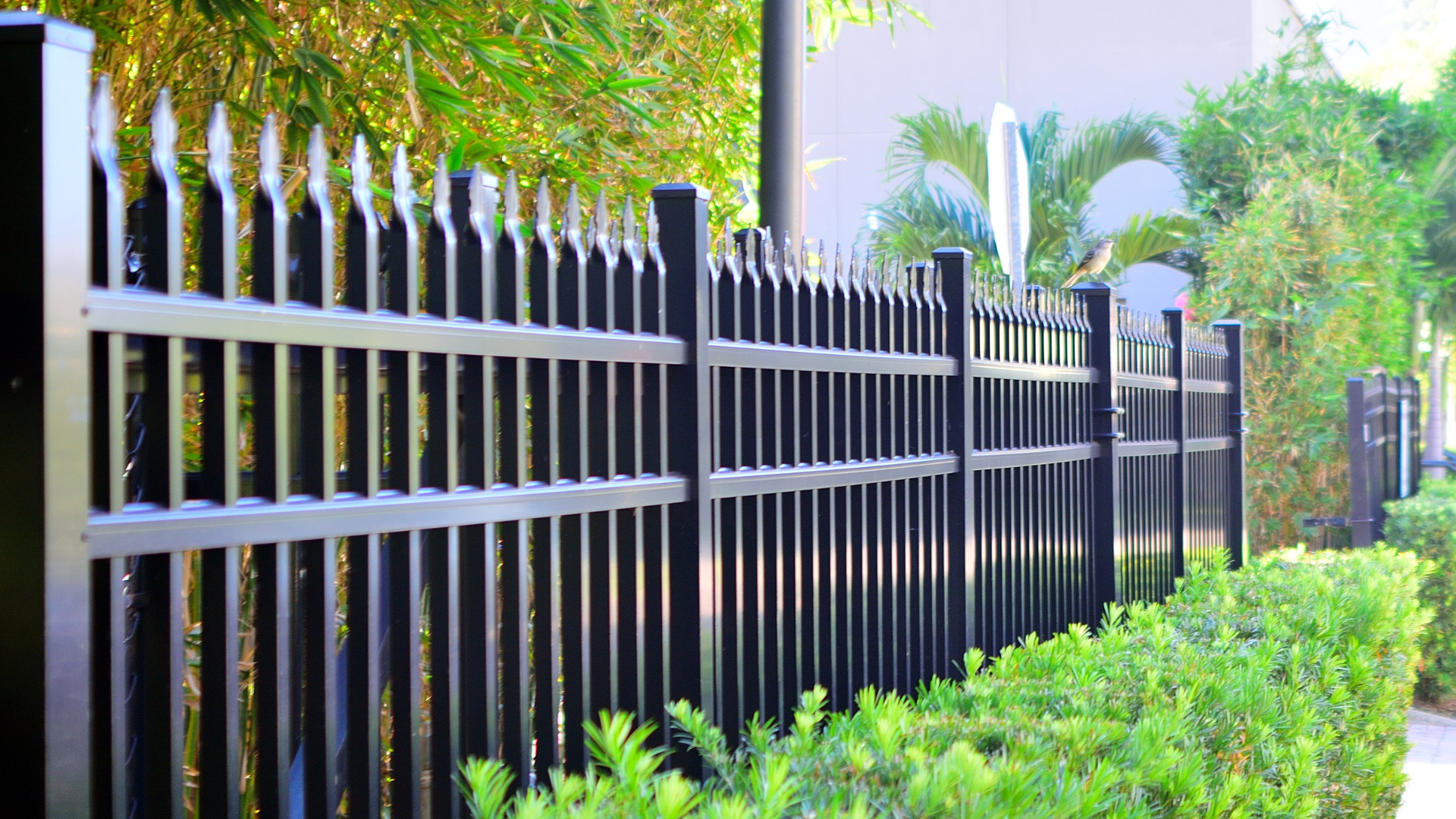Black metal fence with pointed tops, bordering green bushes.
