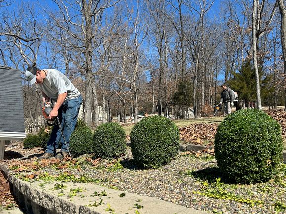 A man is cutting a bush in a garden.