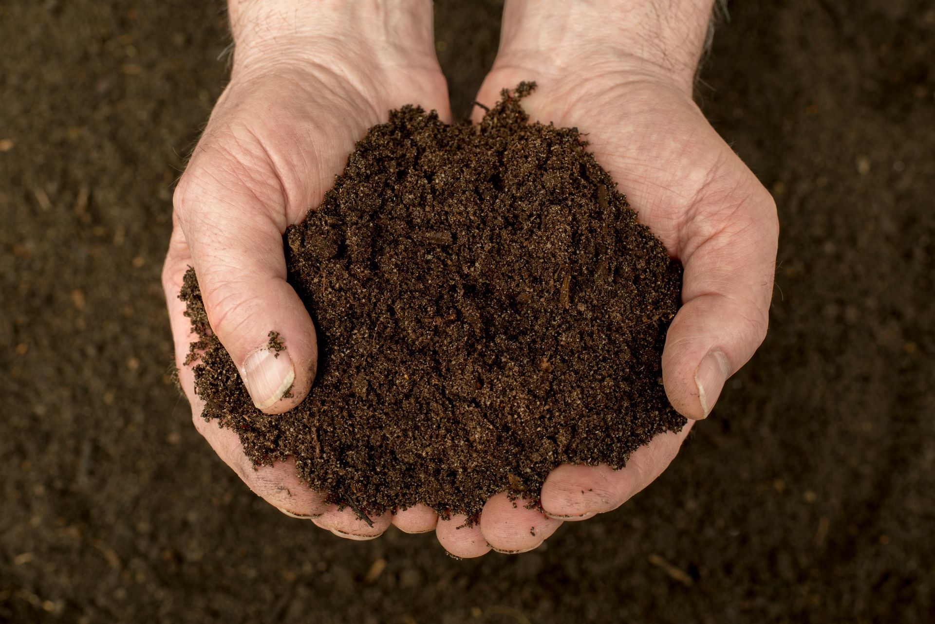 A person is holding a pile of dirt in their hands