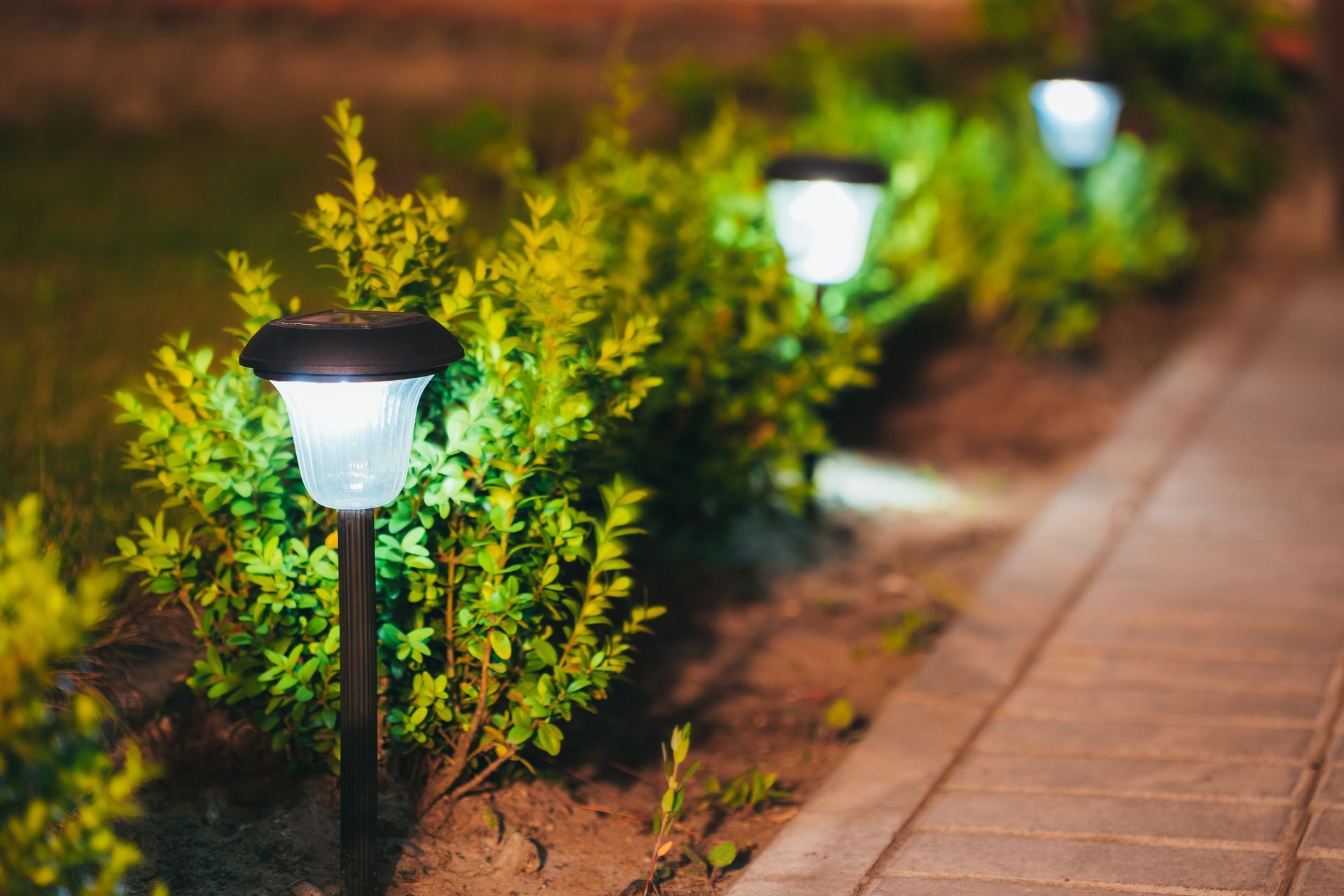 A row of solar powered lights sitting next to bushes on a sidewalk.