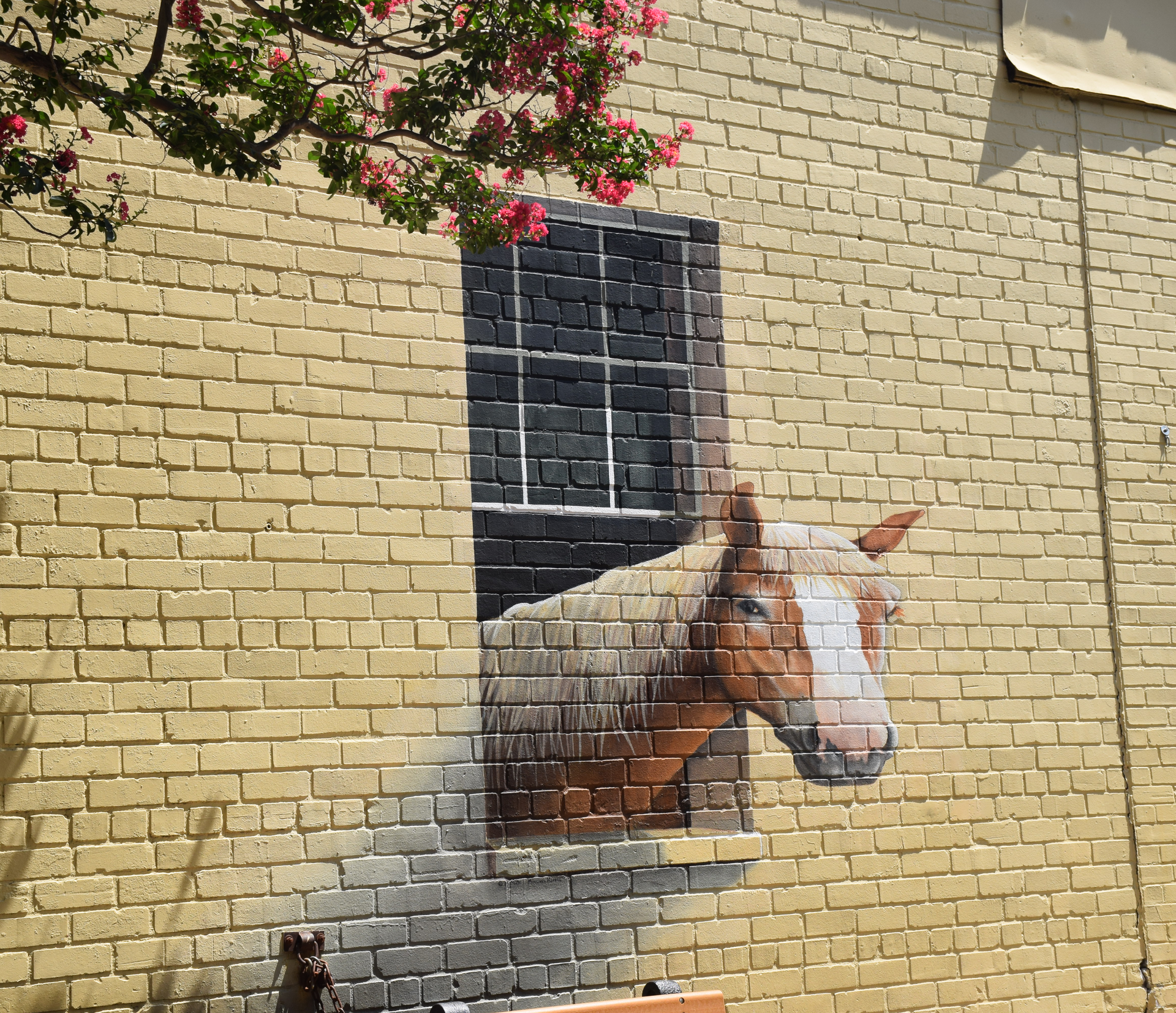 Mural on brick wall depicting a horse's head looking out of a window. Pink flowers above.
