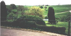 A fence surrounds a lush green field with trees and bushes.