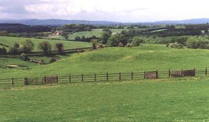 There is a fence in the middle of the field.