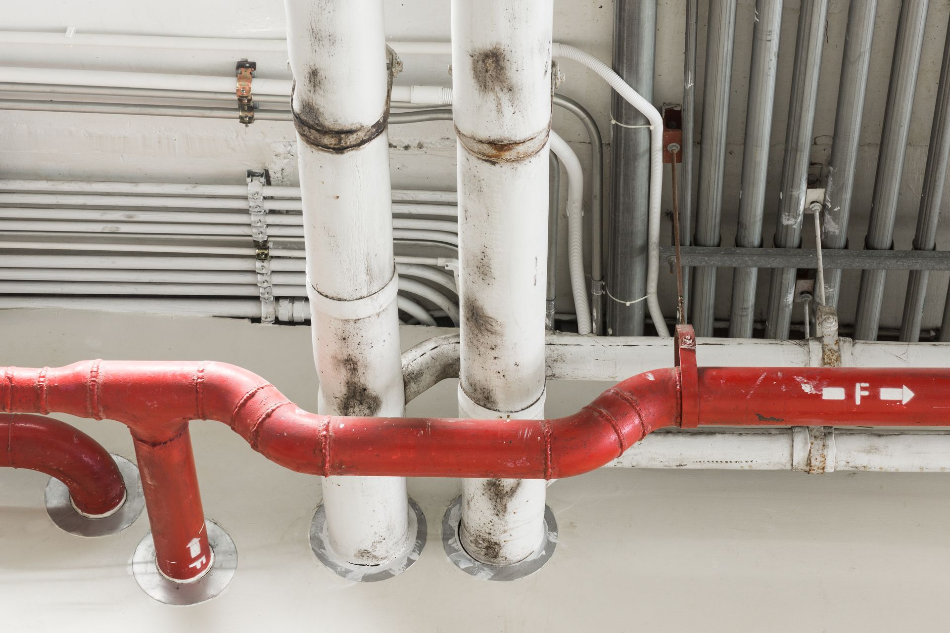 Electrical Services — Warrnambool, VIC — O'Brien Electrical Warrnambool