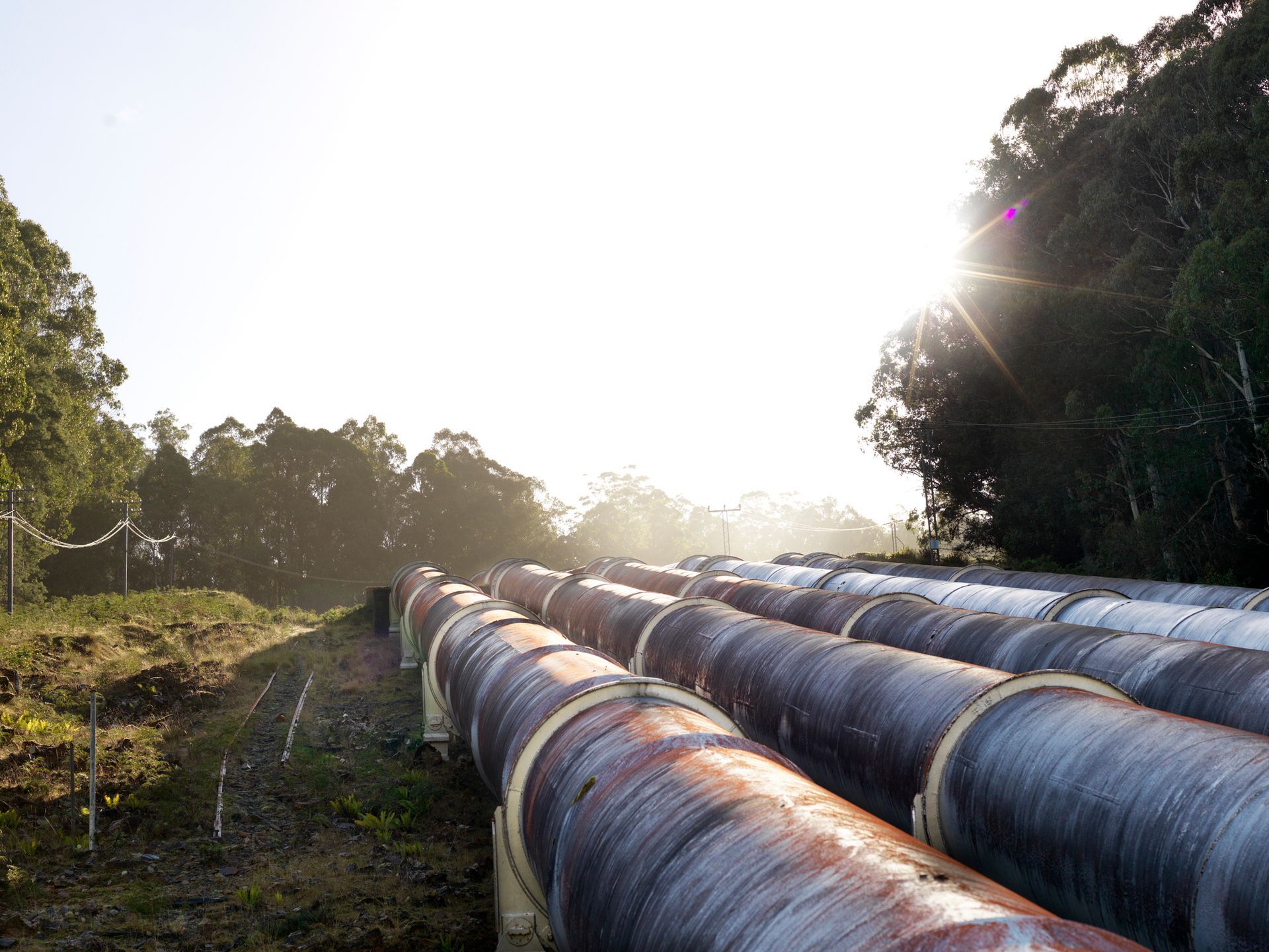 A row of pipes are lined up in a field.