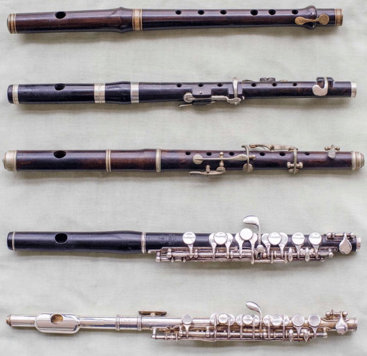 Five different flutes of varying designs, materials, and sizes, arranged vertically.