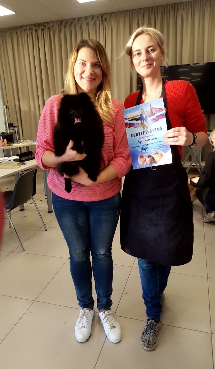 Art of Grooming | Suņu frizētava Imantā, bilde 17