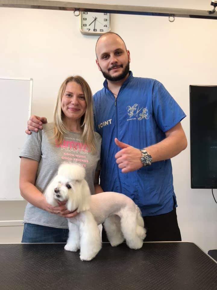 Art of Grooming | Suņu frizētava Imantā, bilde 50