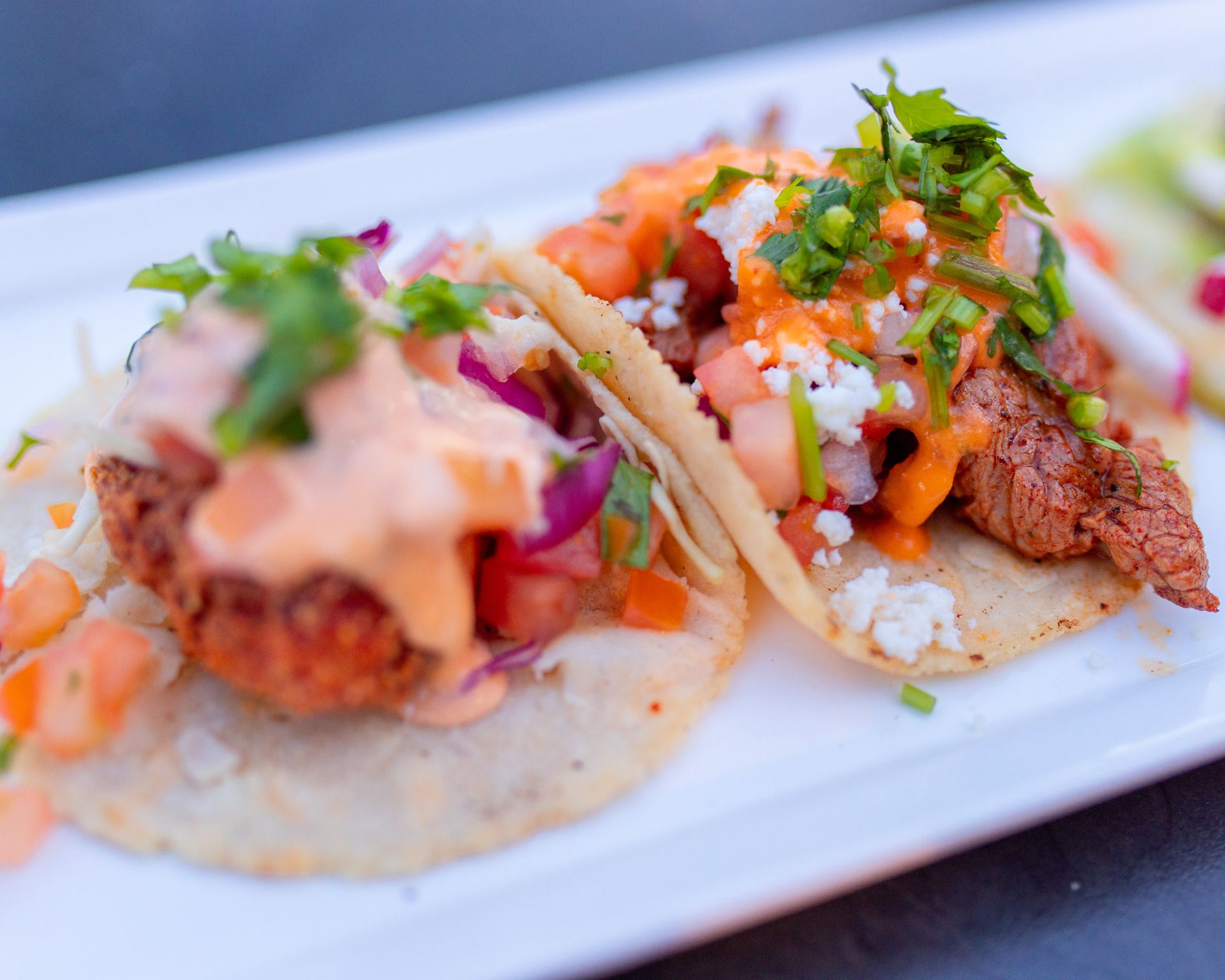 A close up of two tacos on a white plate.