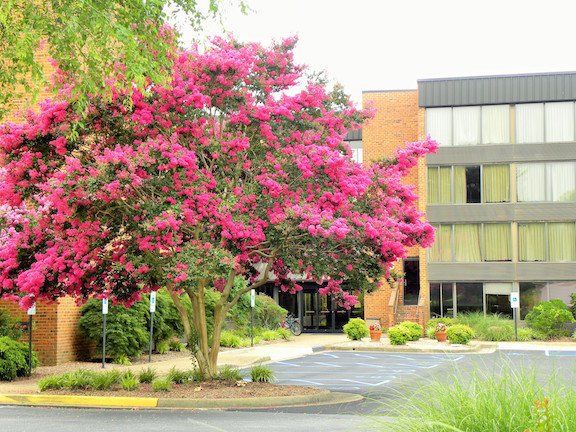 City Lofts Apartments