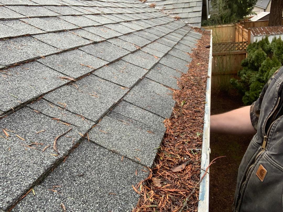Before House Gutter Cleaning — Marcola, OR — Gutter Solutions LLC