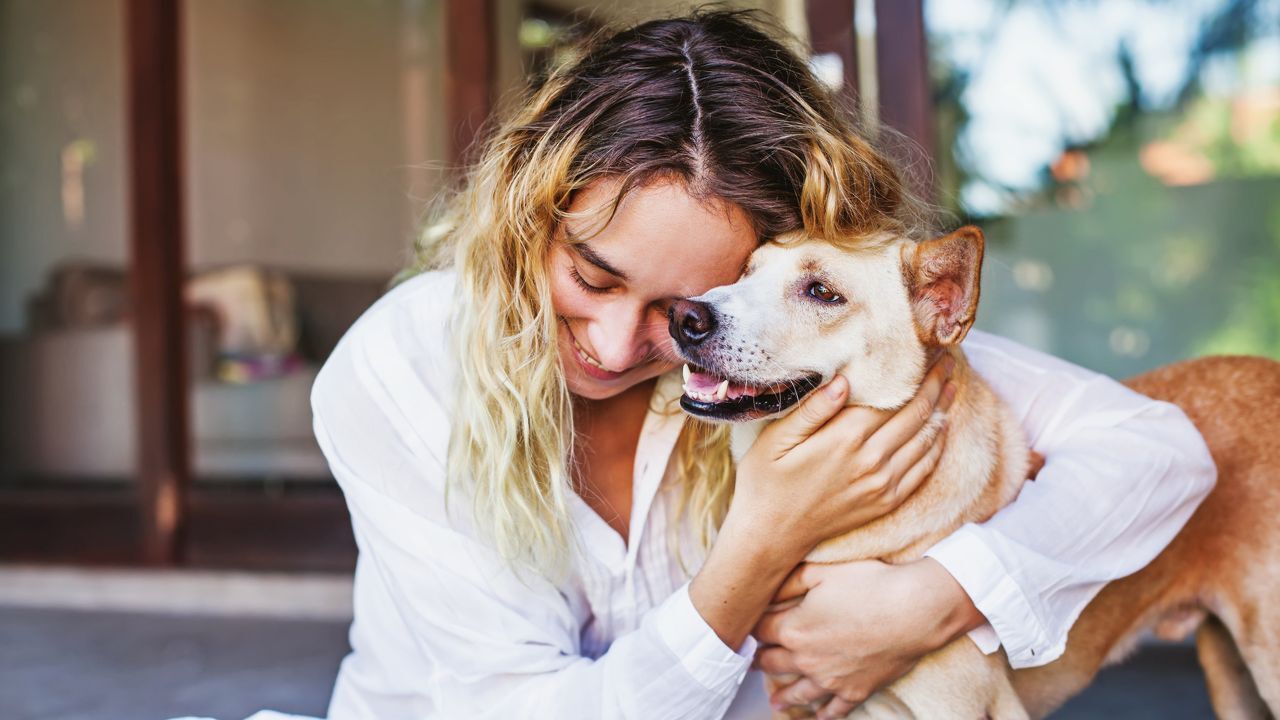The Importance of Pet Dental Care in Colorado